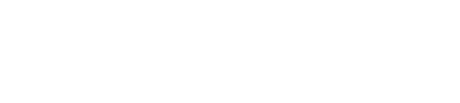 Citroën C4 X Model Logo